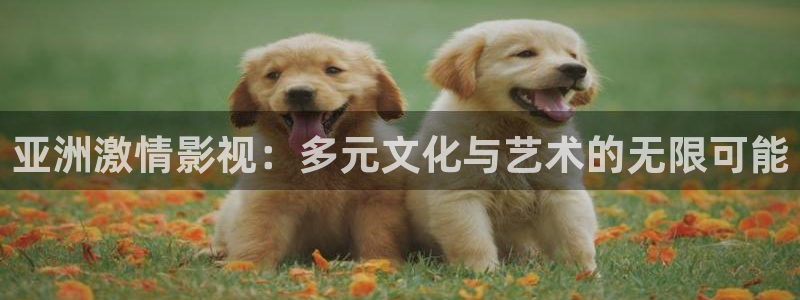 窝窝影视在线观看