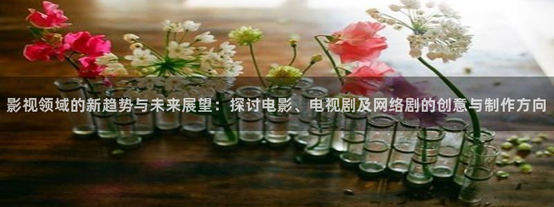 窝窝网电影大全：影视领域的新趋势与未来展望：探讨电影、电视剧及网络剧的创意与制作方向
