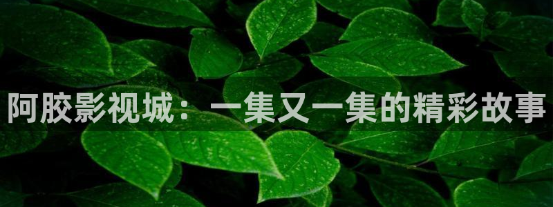 爽爽午夜影视窝窝看片