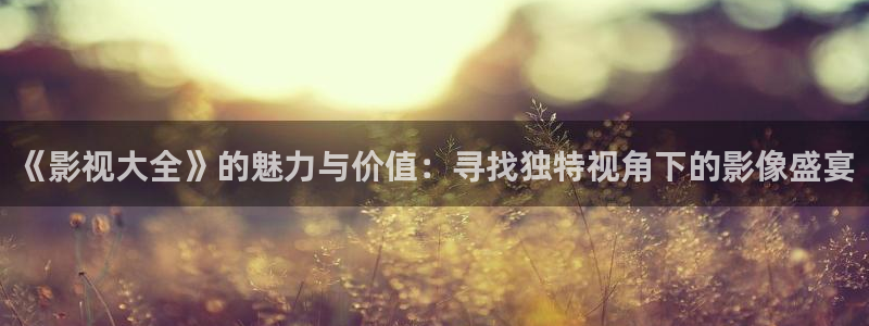 窝窝影院我不卡：《影视大全》的魅力与价值：寻找独特视角下的影像盛宴