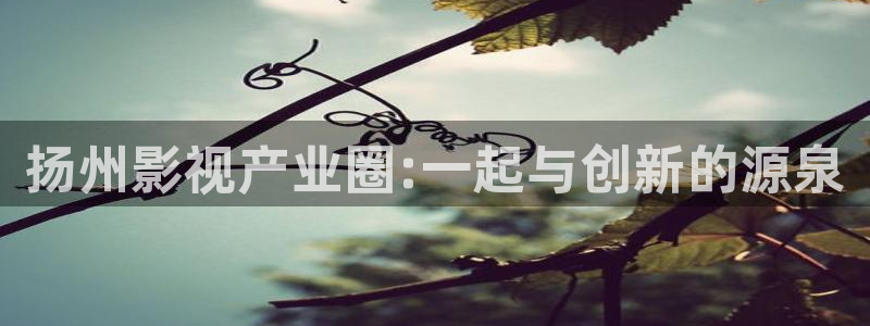 窝窝电影视频：扬州影视产业圈:一起与创新的源泉